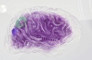 Geen bewijs voor leerwinst, wel risico op ongelijkheid door AI