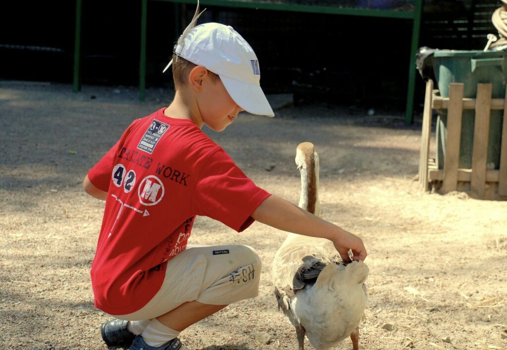 dieren